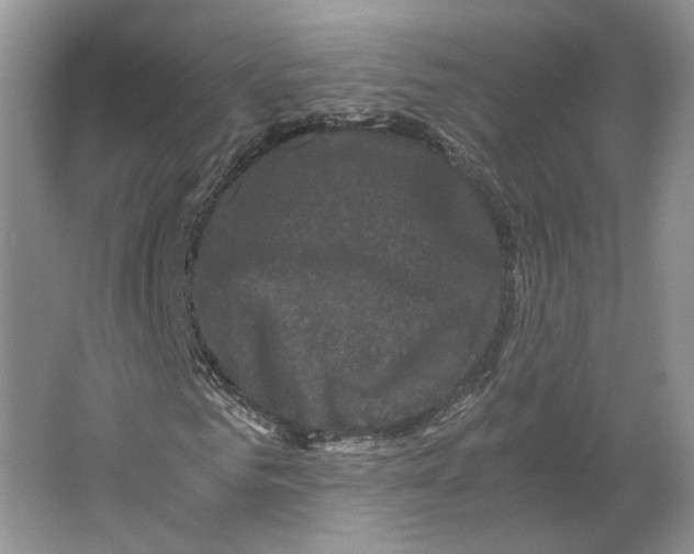 X0000063440961200602171826