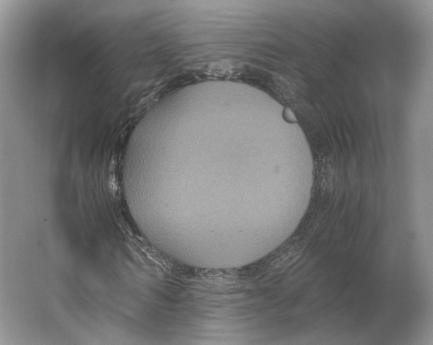 X0000063440962200602171826