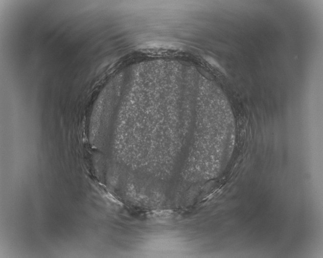 X0000063440965200602171826