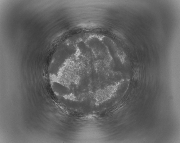 X0000063440966200602171826