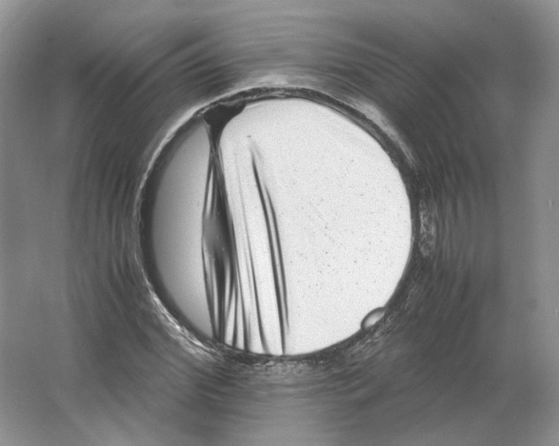 X0000063440972200602171826