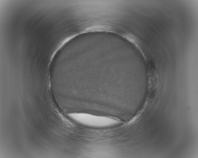 X0000063440973200602171826