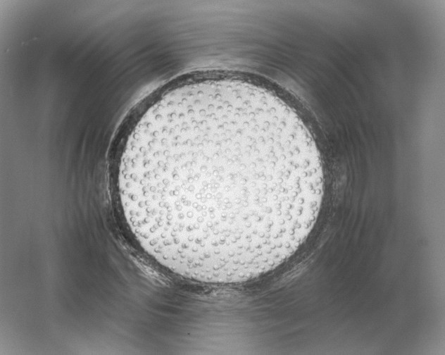 X0000063440974200602171826