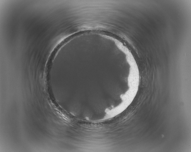 X0000063440975200602171825