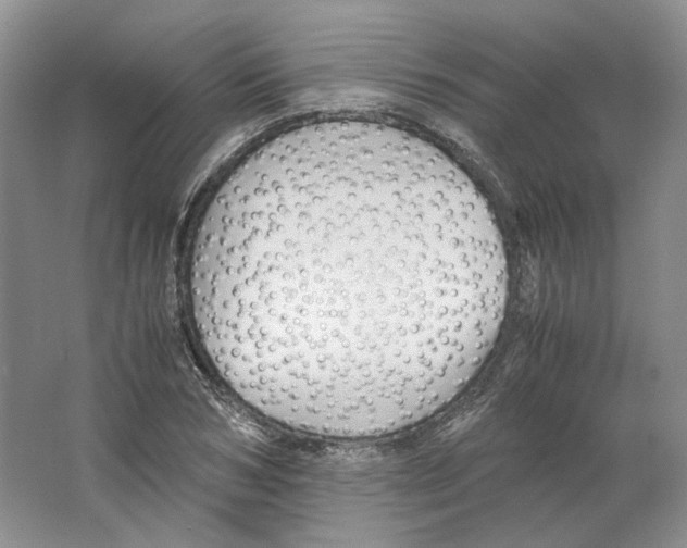 X0000063440978200602171825