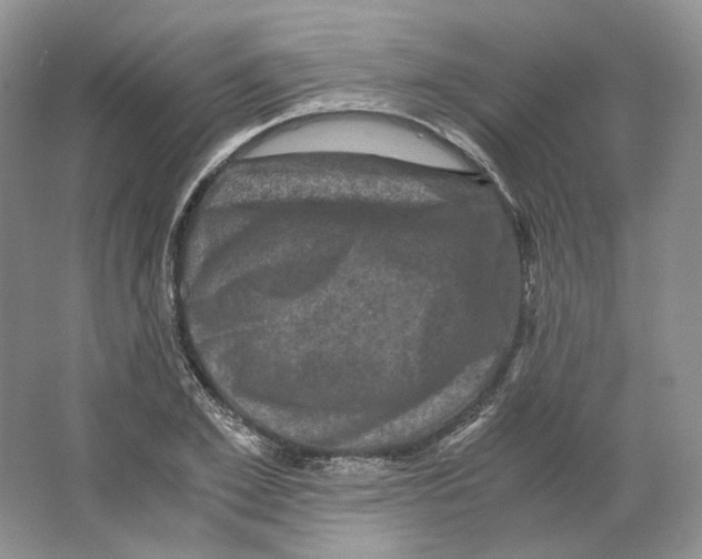 X0000063440981200602171825