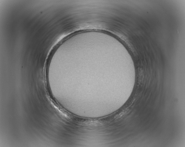X0000063440982200602171825