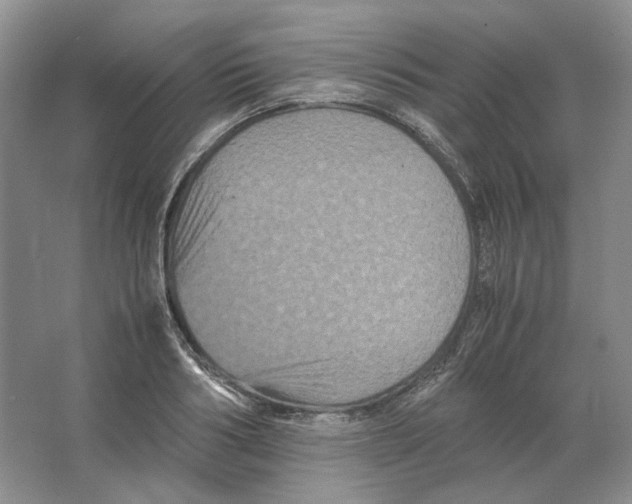 X0000063440986200602171825