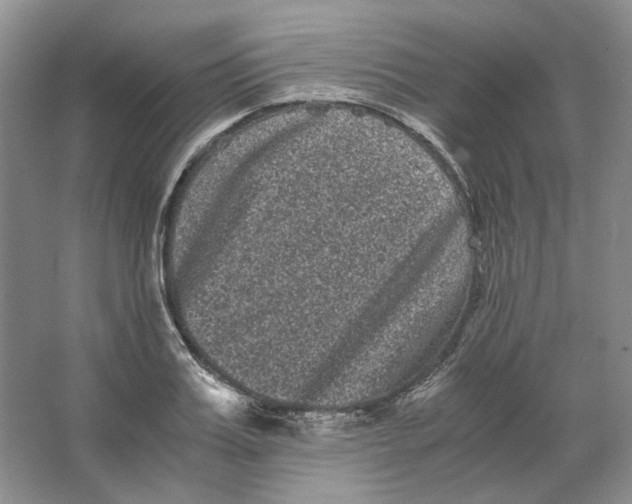 X0000063440987200602171825