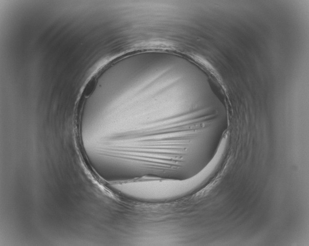 X0000063440989200602171825