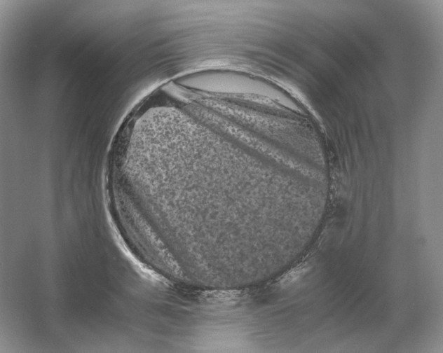 X0000063440991200602171825