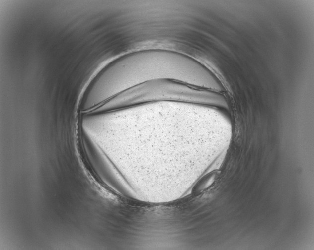 X0000063440992200602171825