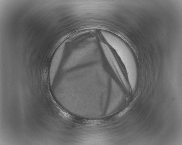 X0000063440993200602171825