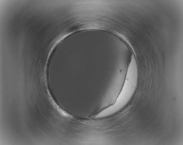 X0000063440995200602171825