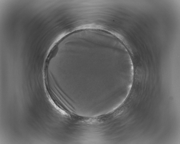 X0000063440998200602171825