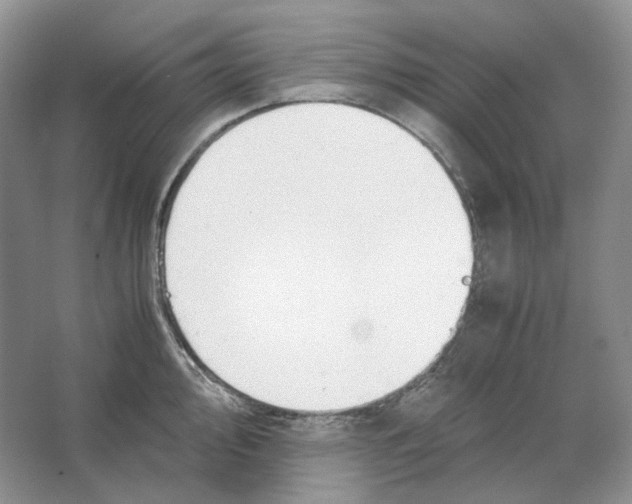 X0000063441000200602171825