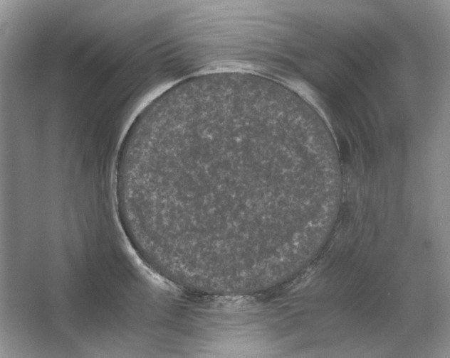 X0000063441003200602171825