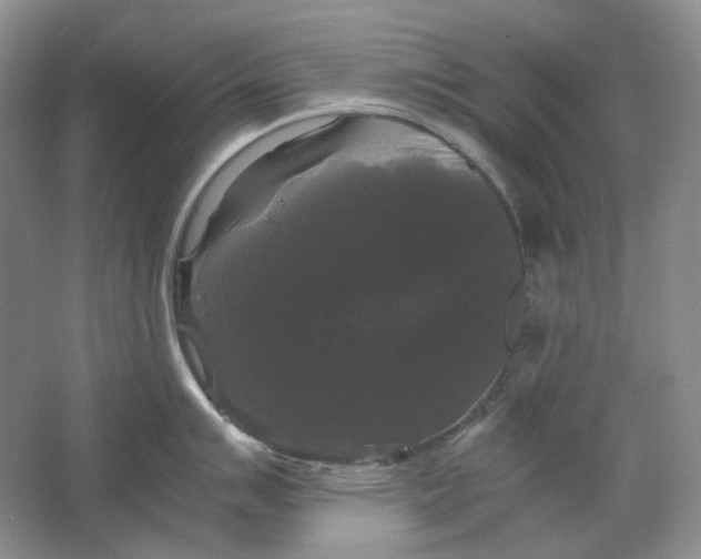 X0000063441007200602171825