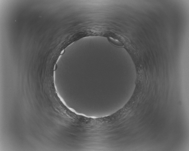 X0000063441009200602171824