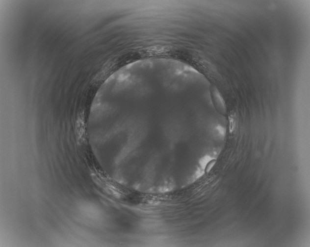 X0000063441011200602171824