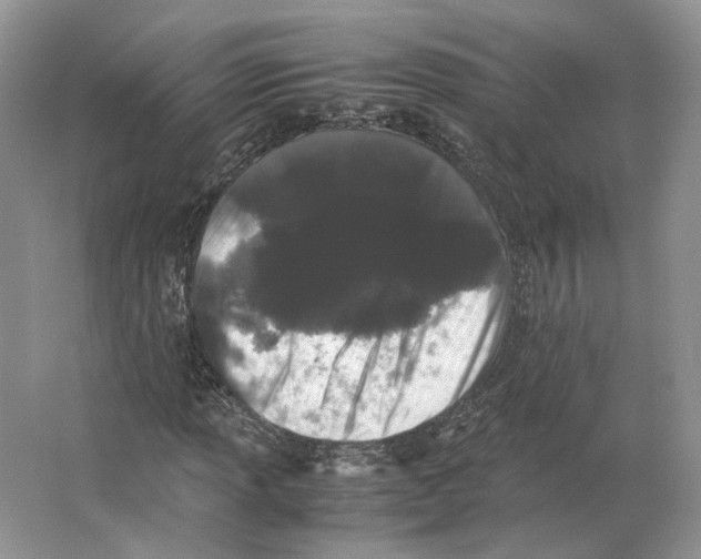 X0000063441013200602171824