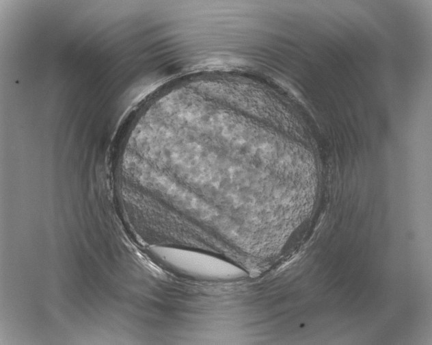 X0000063441018200602171824