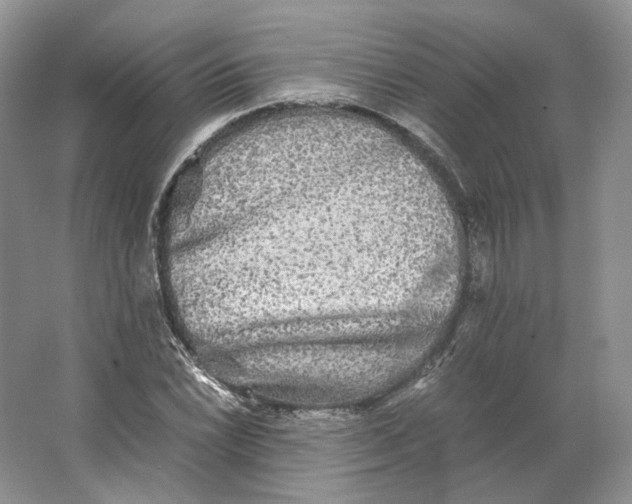 X0000063441022200602171824
