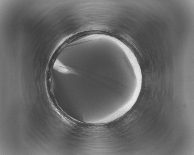 X0000063441024200602171824