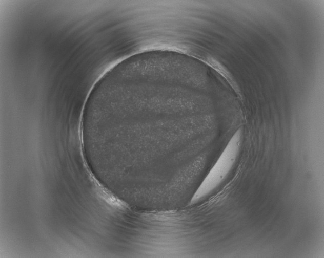X0000063441028200602171824