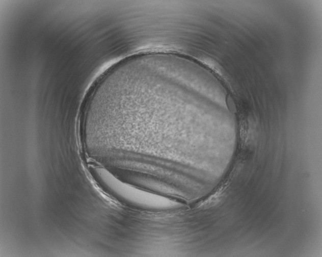 X0000063441030200602171824