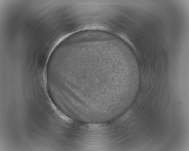 X0000063441032200602171824