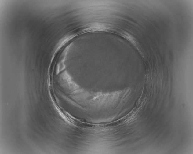 X0000063441034200602171824