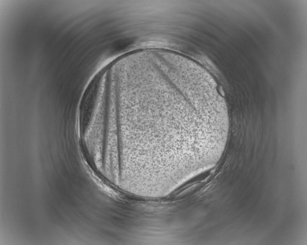 X0000063441036200602171825
