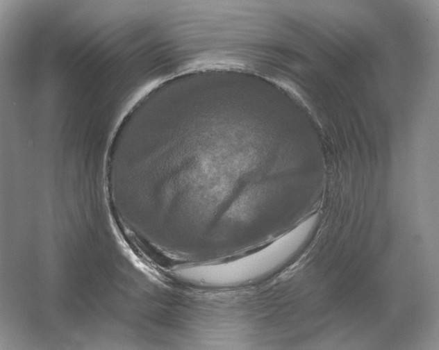X0000063441038200602171825