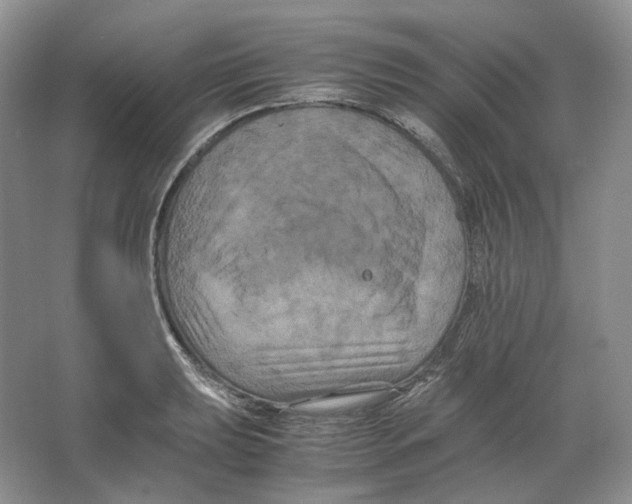 X0000063441039200602171825