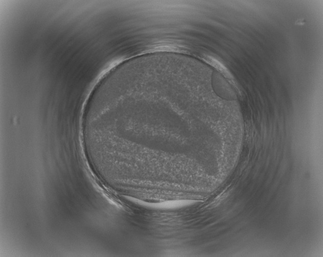 X0000063441043200602171825