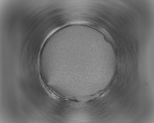 X0000063441044200602171825