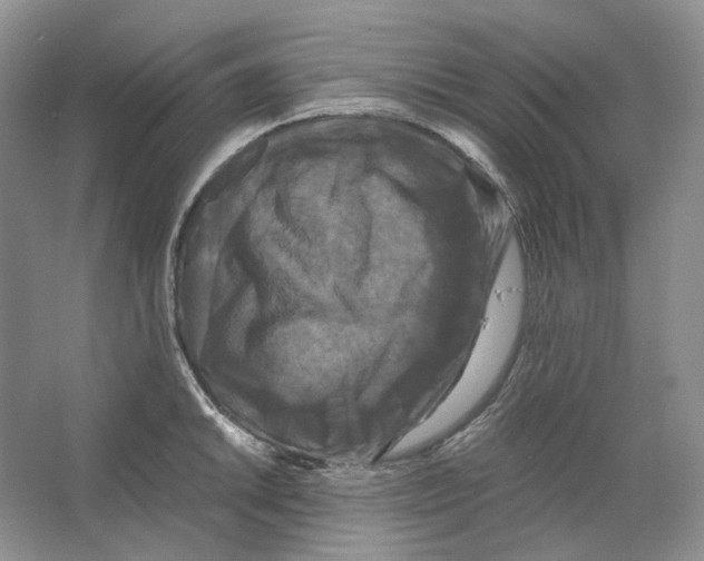 X0000063441046200602171825