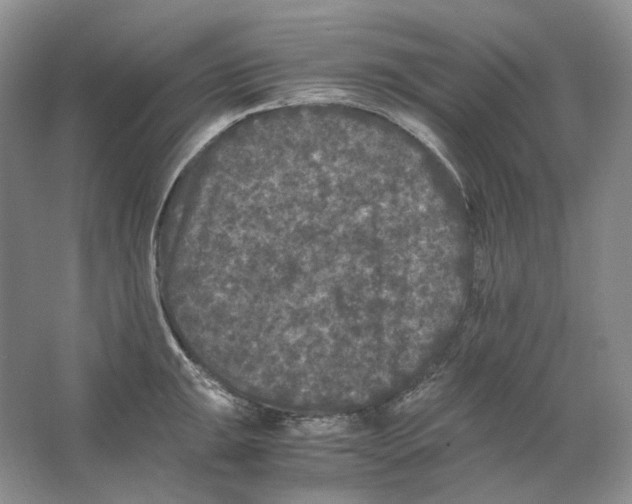 X0000063441047200602171825