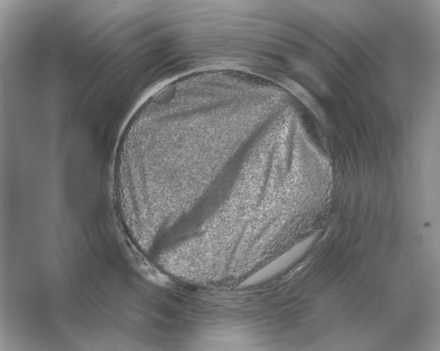 X0000063441052200602171825