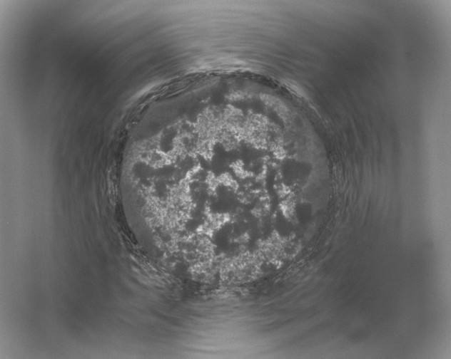 X0000063441063200602171824