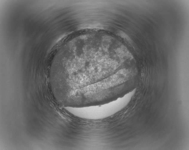X0000063441064200602171824