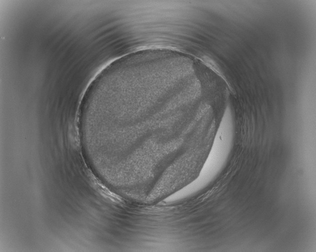 X0000063441068200602171824