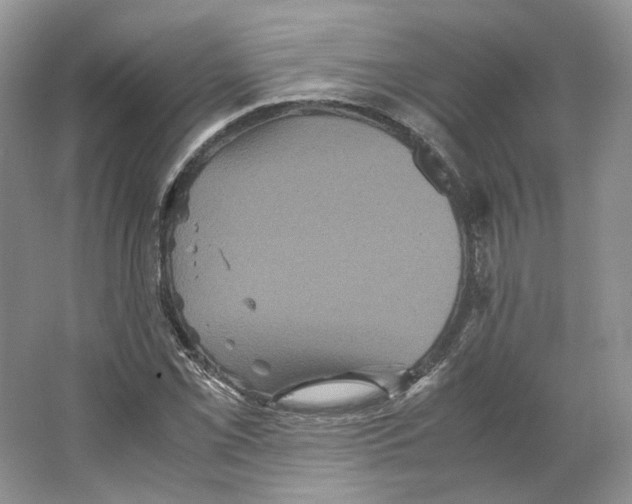 X0000063441069200602171824