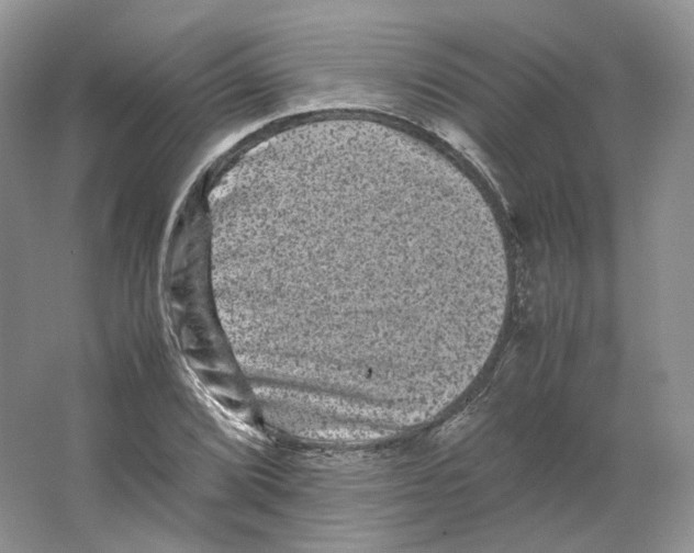 X0000063441072200602171824