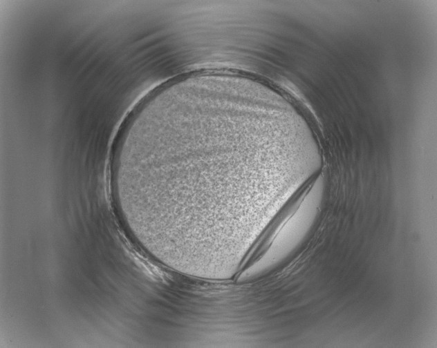 X0000063441076200602171824