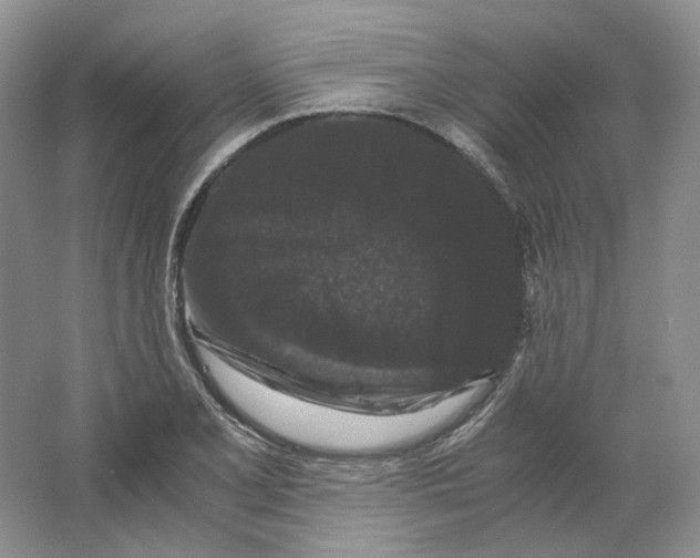 X0000063441077200602171824