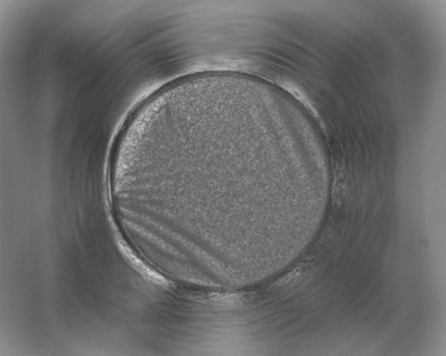 X0000063441080200602171824