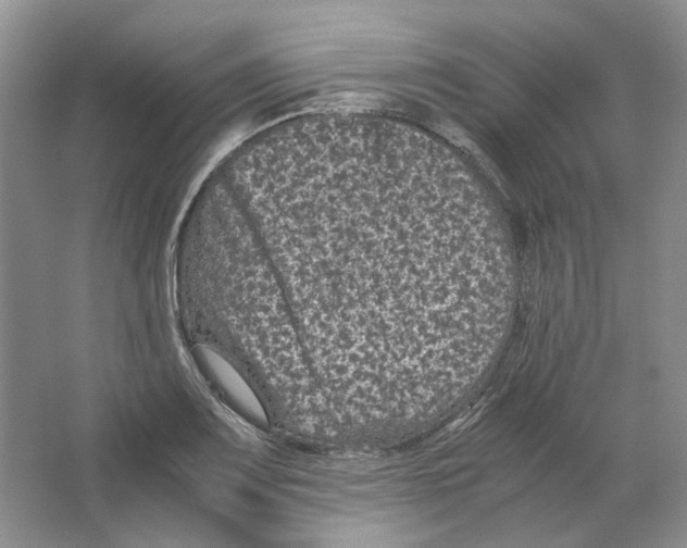 X0000063441083200602171824