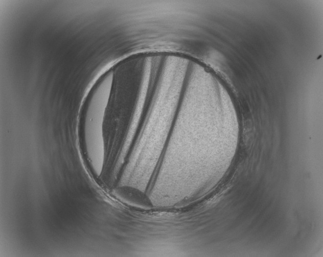 X0000063441085200602171823